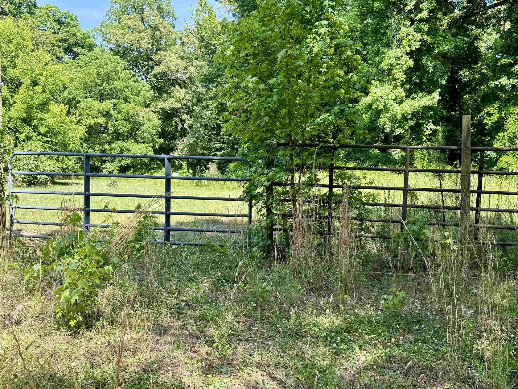 6 Acres of Residential Land for Sale in Greensboro, Georgia