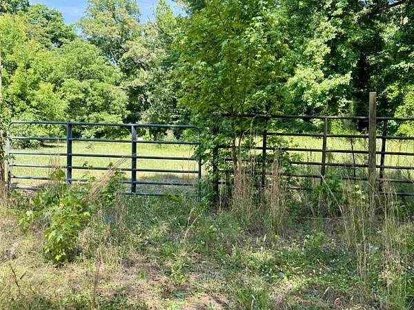 6 Acres of Residential Land for Sale in Greensboro, Georgia