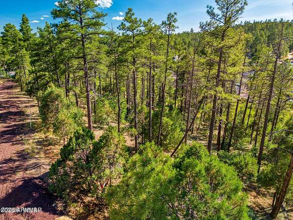 2.67 Acres of Residential Land for Sale in Show Low, Arizona