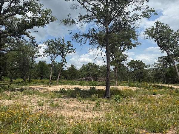 0.93 Acres of Residential Land for Sale in Caldwell, Texas