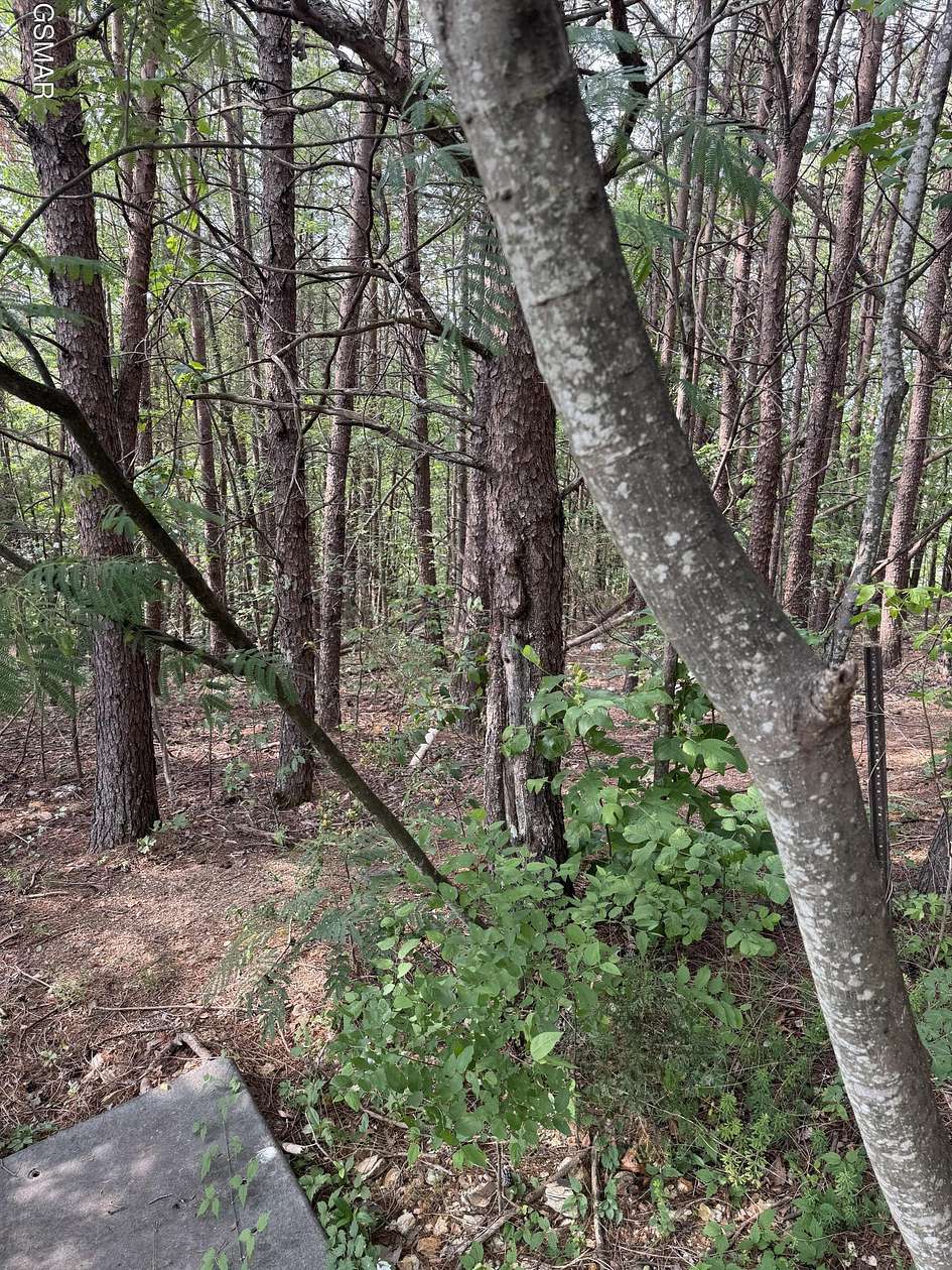 0.4 Acres of Land for Sale in Pigeon Forge, Tennessee