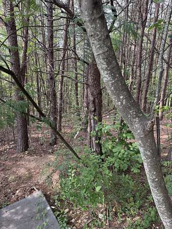 0.4 Acres of Land for Sale in Pigeon Forge, Tennessee