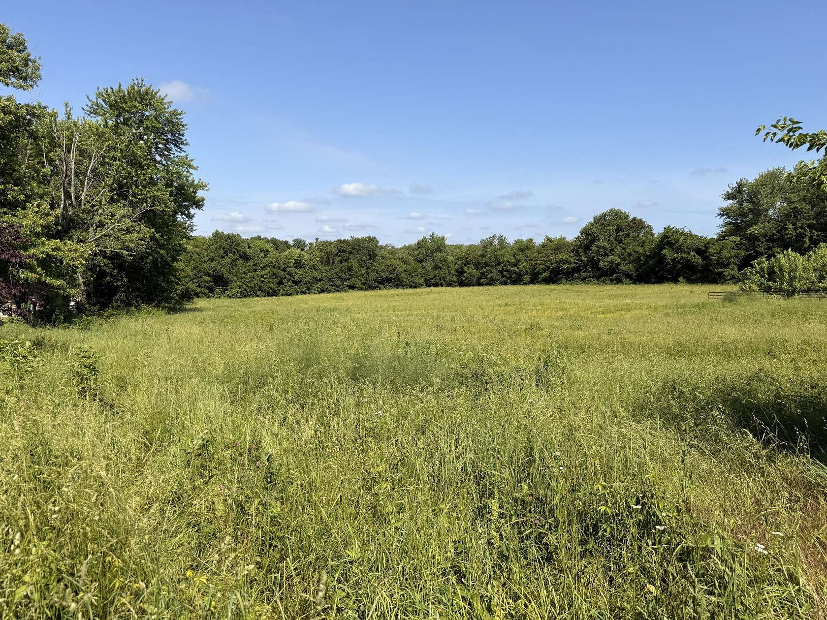 4.19 Acres of Residential Land for Sale in Mountain Grove, Missouri