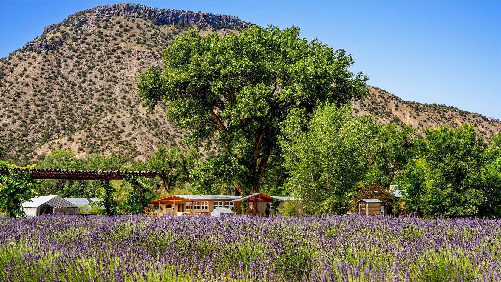 11.3 Acres of Land with Home for Sale in Abiquiu, New Mexico