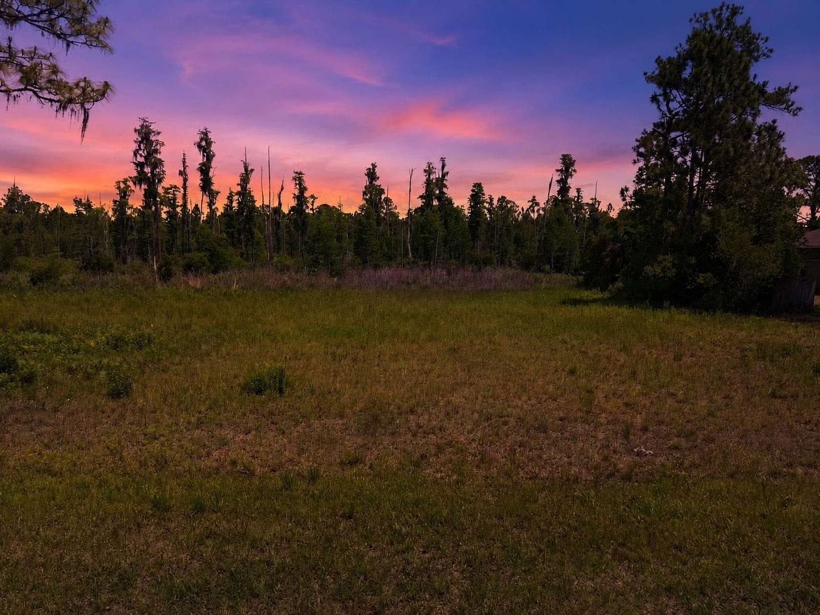1 Acre of Residential Land for Sale in Wesley Chapel, Florida