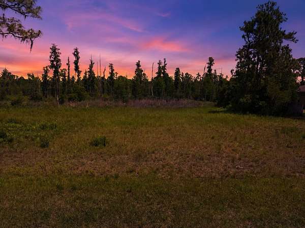 1 Acre of Residential Land for Sale in Wesley Chapel, Florida