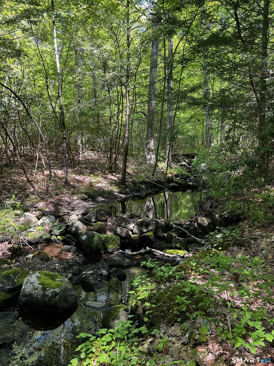8.9 Acres of Residential Land for Sale in New Hartford, Connecticut