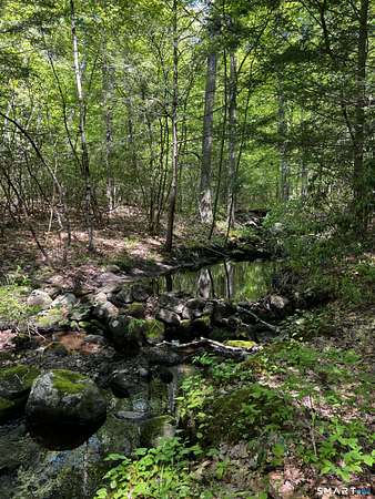 8.9 Acres of Residential Land for Sale in New Hartford, Connecticut