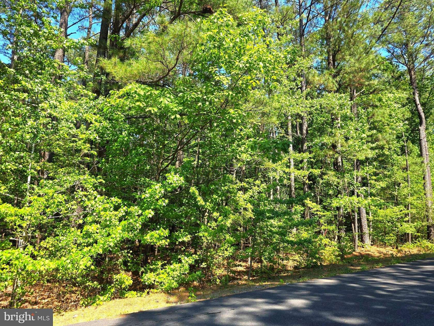 0.41 Acres of Residential Land for Sale in Ruther Glen, Virginia