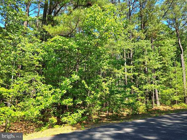 0.41 Acres of Residential Land for Sale in Ruther Glen, Virginia