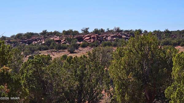 40 Acres of Recreational & Residential Land for Sale in Show Low, Arizona