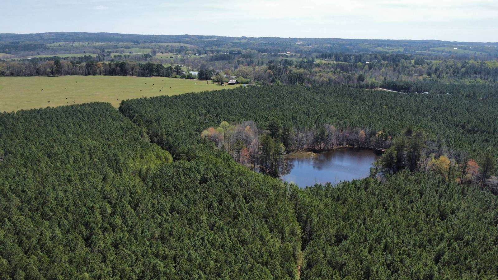 200 Acres of Recreational Land for Sale in Oneonta, Alabama