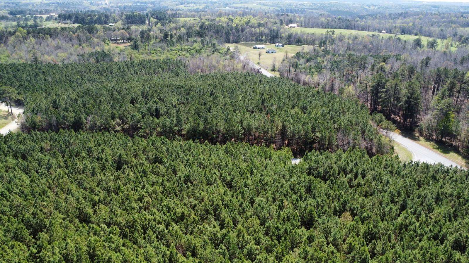 25.7 Acres of Land for Sale in Oneonta, Alabama