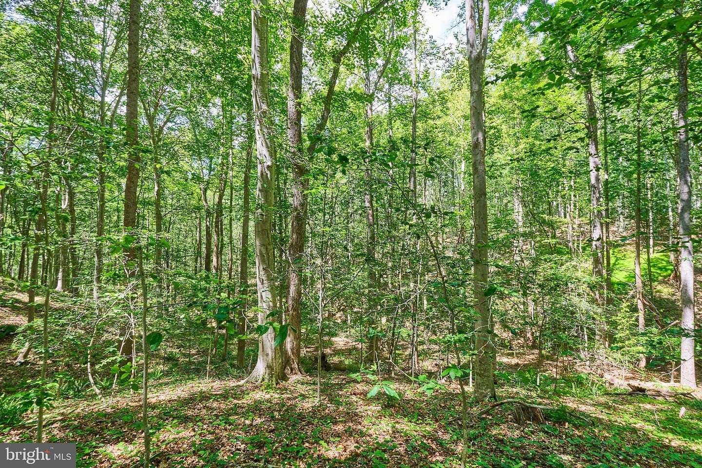 5 Acres of Residential Land for Sale in Fairfax Station, Virginia