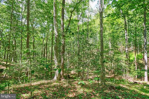 5 Acres of Residential Land for Sale in Fairfax Station, Virginia