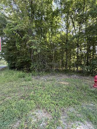 0.33 Acres of Residential Land for Sale in Baneberry, Tennessee