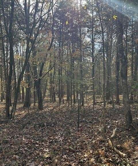 0.41 Acres of Residential Land for Sale in Baneberry, Tennessee