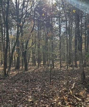 0.41 Acres of Residential Land for Sale in Baneberry, Tennessee