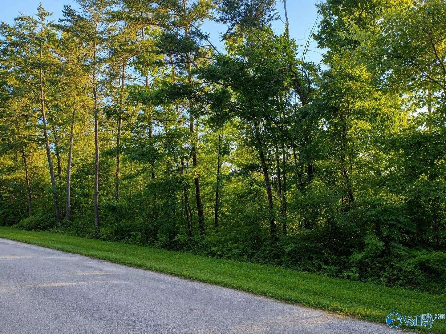11 Acres of Land for Sale in Cedar Bluff, Alabama