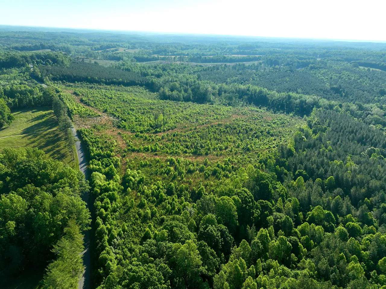 247 Acres of Recreational Land for Sale in Keeling, Virginia