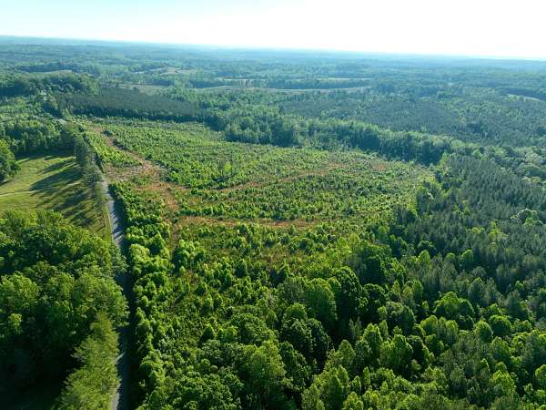 247 Acres of Recreational Land for Sale in Keeling, Virginia