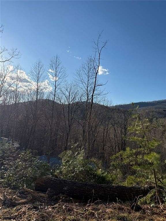 1.65 Acres of Residential Land for Sale in Cleveland, Georgia