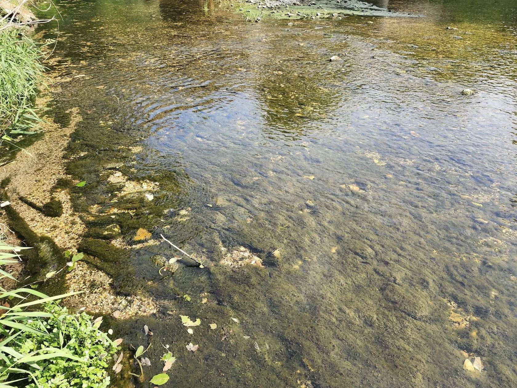 20 Acres of Recreational Land for Sale in Ava, Missouri