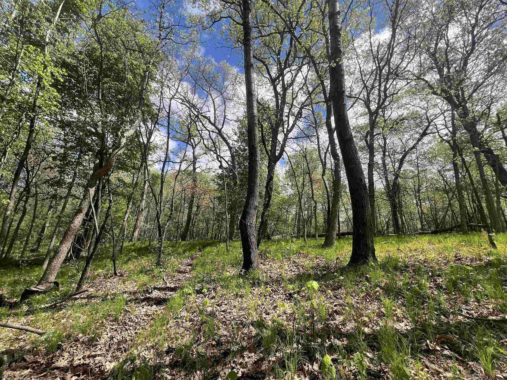 2.1 Acres of Residential Land for Sale in Nekoosa, Wisconsin