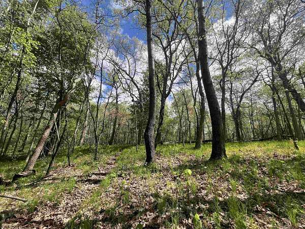 2.1 Acres of Residential Land for Sale in Nekoosa, Wisconsin
