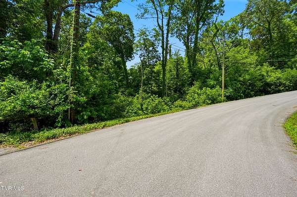 0.91 Acres of Residential Land for Sale in Kingsport, Tennessee