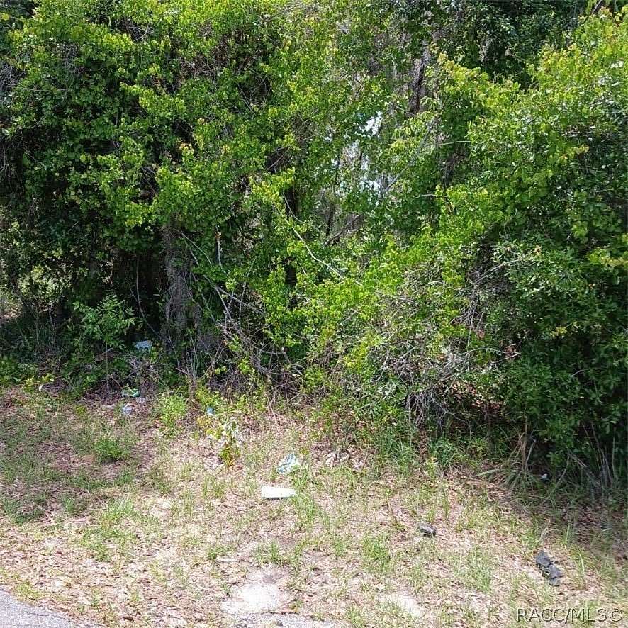 0.22 Acres of Residential Land for Sale in Inverness, Florida