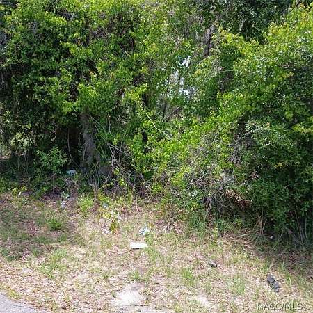 0.22 Acres of Residential Land for Sale in Inverness, Florida