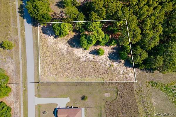 1.19 Acres of Residential Land for Sale in Beverly Hills, Florida