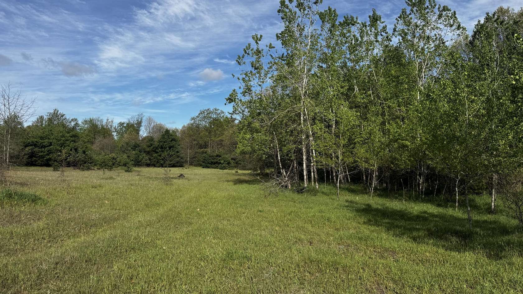 80.8 Acres of Recreational & Residential Land for Sale in Stanwood, Michigan