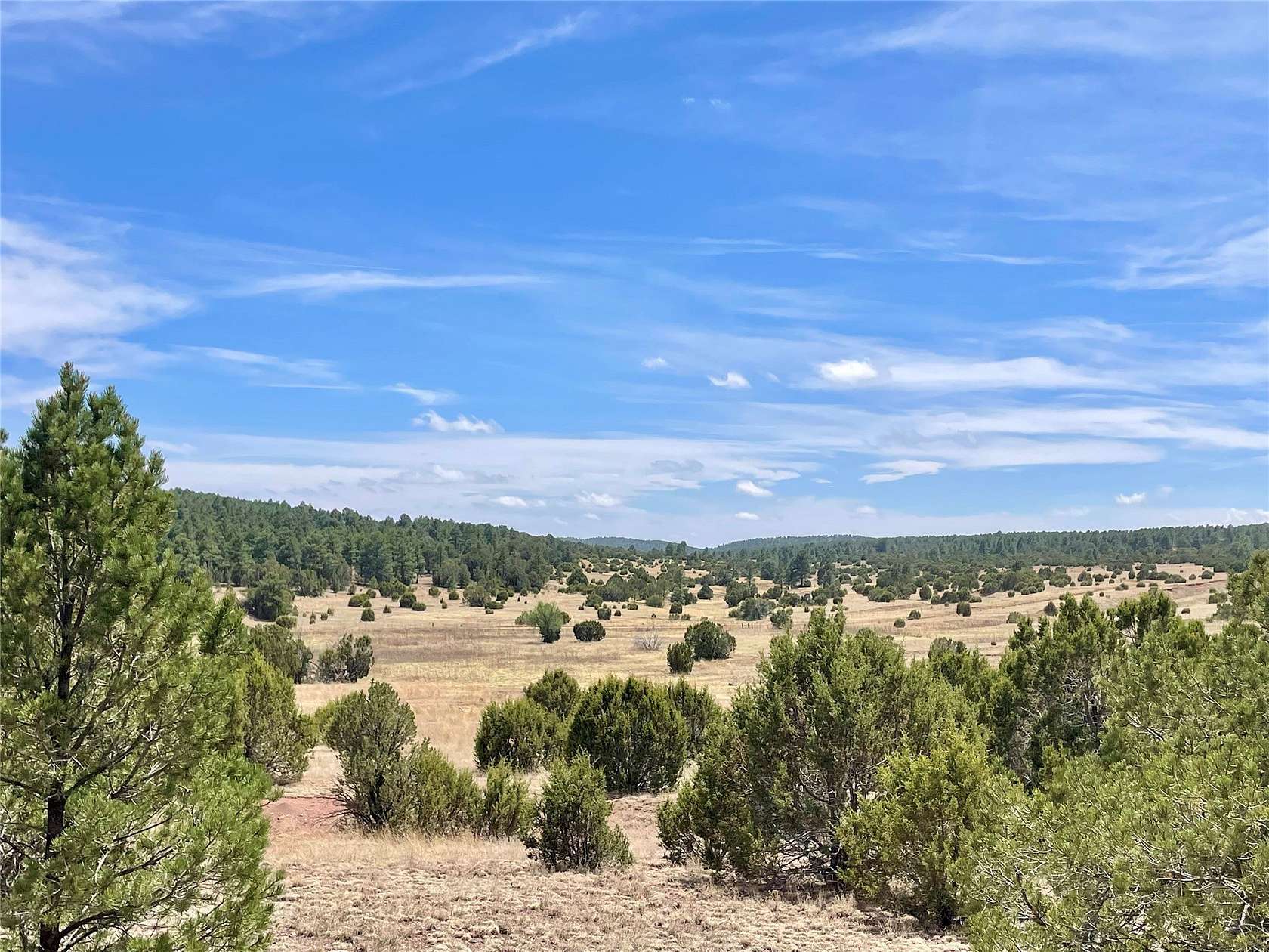 39 Acres of Land for Sale in Las Vegas, New Mexico
