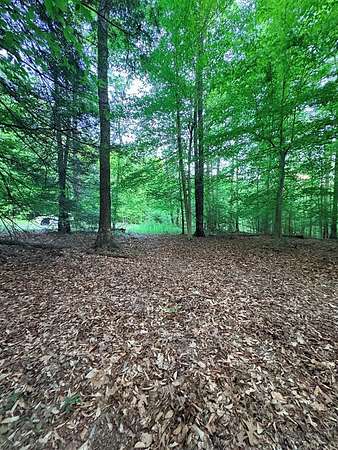 3.3 Acres of Residential Land for Sale in Fayetteville, West Virginia