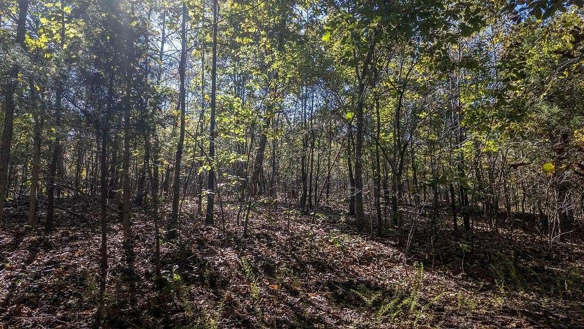 0.3 Acres of Residential Land for Sale in Cherokee Village, Arkansas