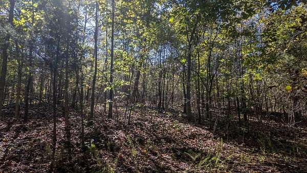 0.3 Acres of Residential Land for Sale in Cherokee Village, Arkansas