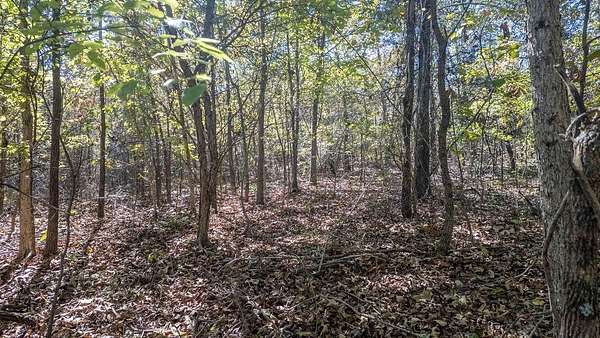 0.3 Acres of Residential Land for Sale in Cherokee Village, Arkansas
