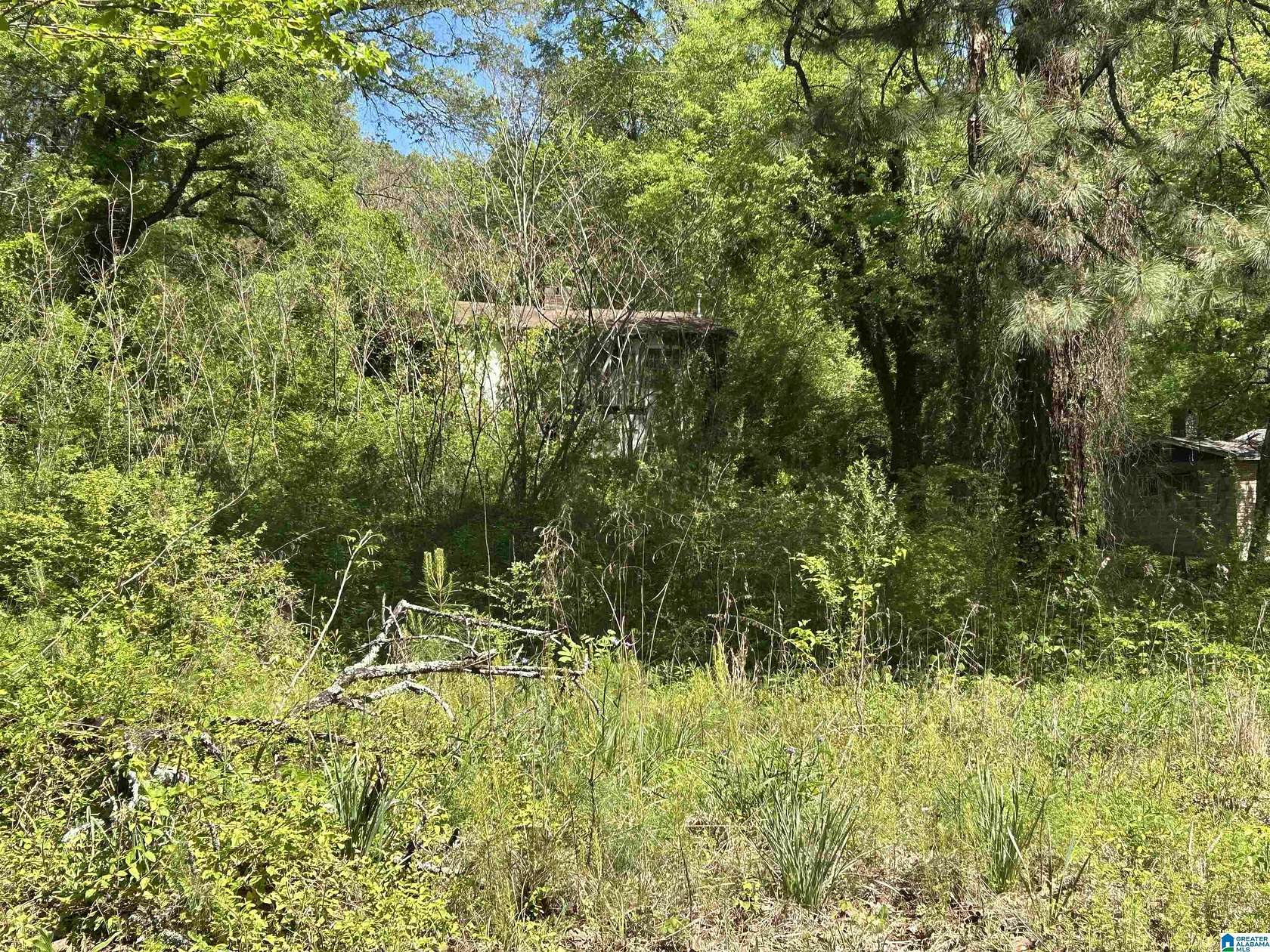 0.65 Acres of Land with Home for Auction in Birmingham, Alabama