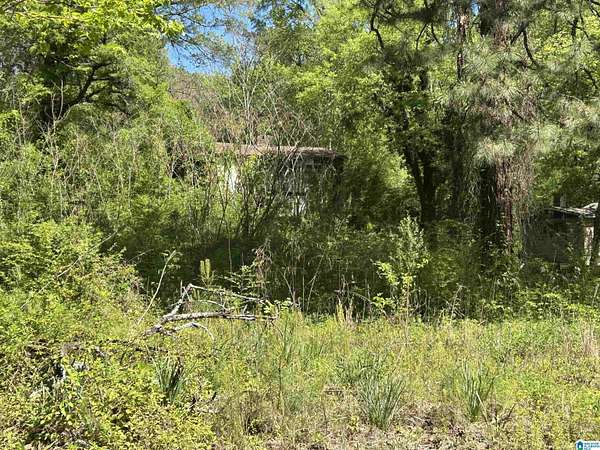 0.65 Acres of Land with Home for Auction in Birmingham, Alabama