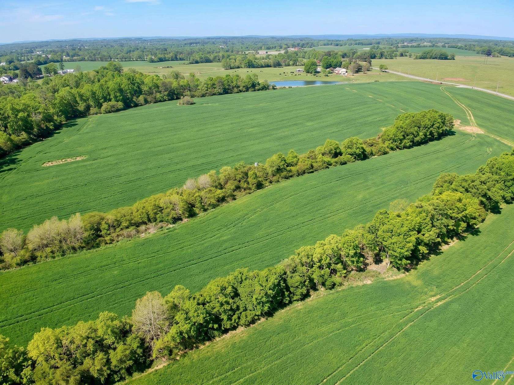 16 Acres of Land for Sale in Section, Alabama