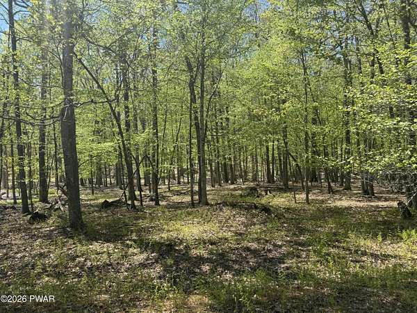 0.52 Acres of Residential Land for Sale in Hawley, Pennsylvania