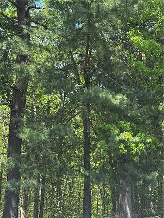 9.3 Acres of Residential Land for Sale in Burrillville Town, Rhode Island