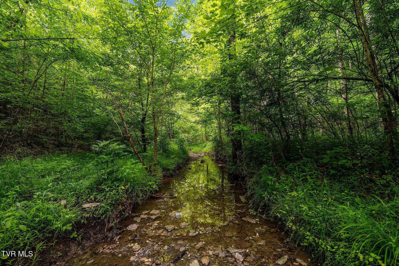 33 Acres of Recreational Land for Sale in Rogersville, Tennessee