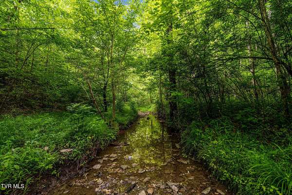 33 Acres of Recreational Land for Sale in Rogersville, Tennessee