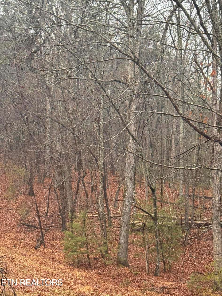 0.4 Acres of Residential Land for Sale in Crossville, Tennessee
