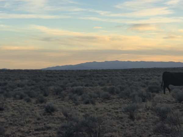 0.5 Acres of Residential Land for Sale in Belen, New Mexico