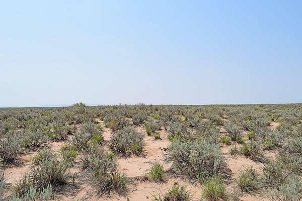 0.25 Acres of Land for Sale in Belen, New Mexico