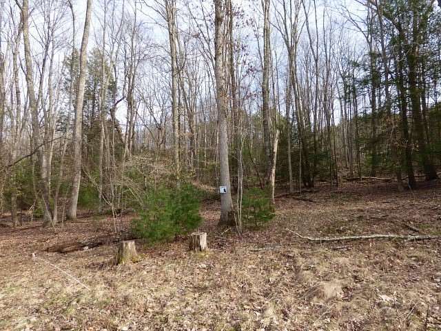 Land for Sale in Daniels, West Virginia